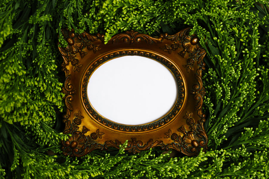 How a Large Framed Fisheye Mirror Transforms